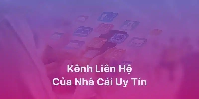 Vai trò quan trọng của việc liên hệ trong dịch vụ khách hàng